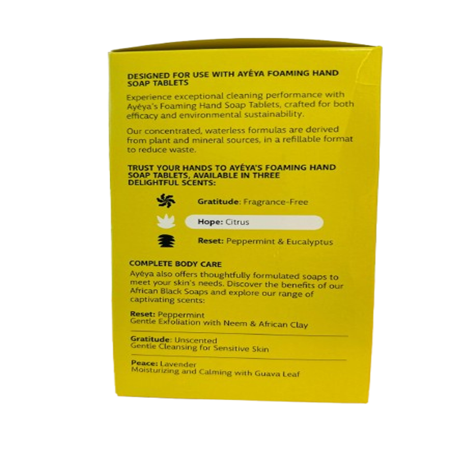 Ayeya Citrus Hope Foaming Hand Soap Starter Kit